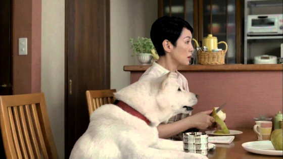 10 самих божевільних і популярних рекламних роликів в Японії