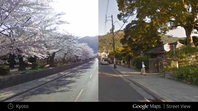 CherryBlossoms_Kyoto_Japan-650x365