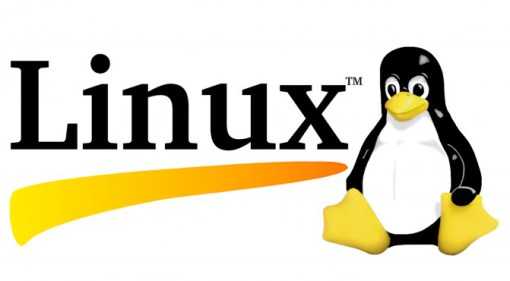 4-річна дівчинка внесла правку в ядро Linux